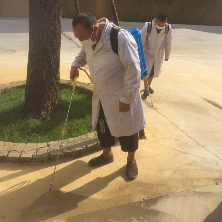 Regular Mosquito Killing