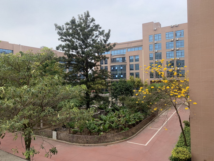 2021the spring is coming